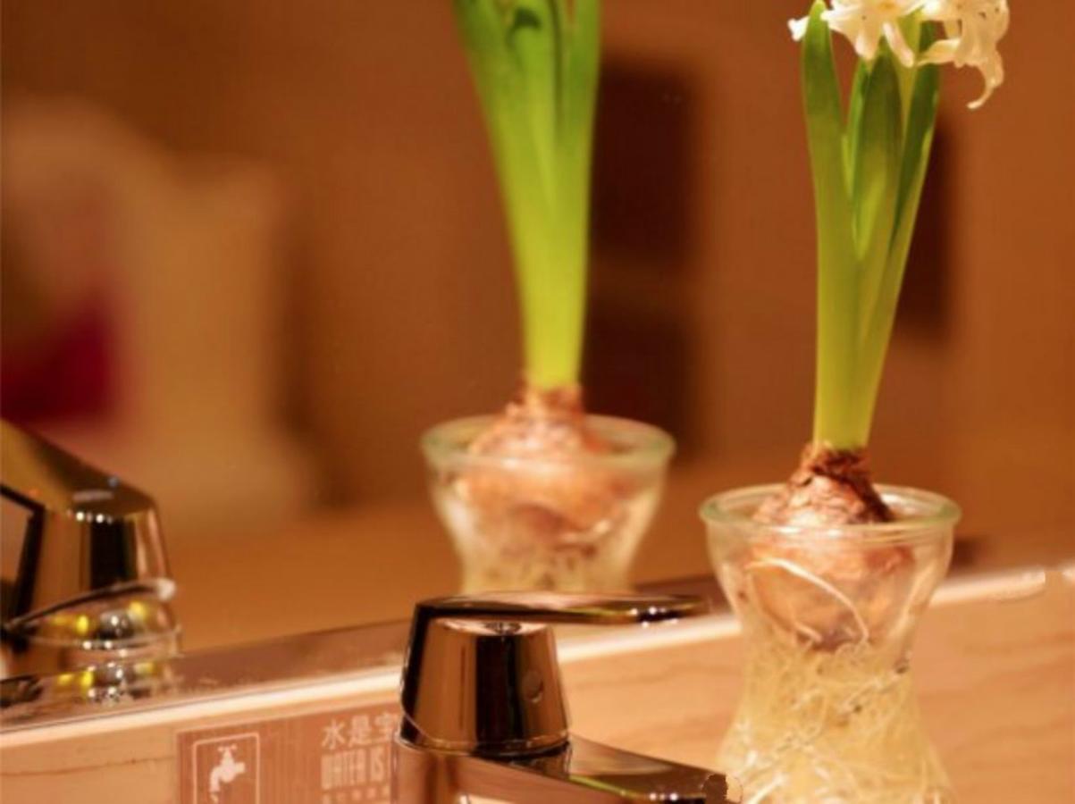 Greentree Inn Beijing Dongcheng District Wangfujin South Luogu Lane Houhai Express Hotel Exterior photo